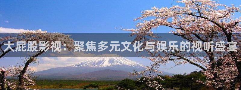 新99视频：大屁股影视：聚焦多元文化与娱乐的视听盛宴