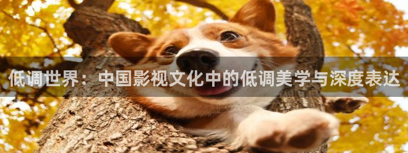 99视频在线观看18：低调世界：中国影视文化中的低调美学与深度表达