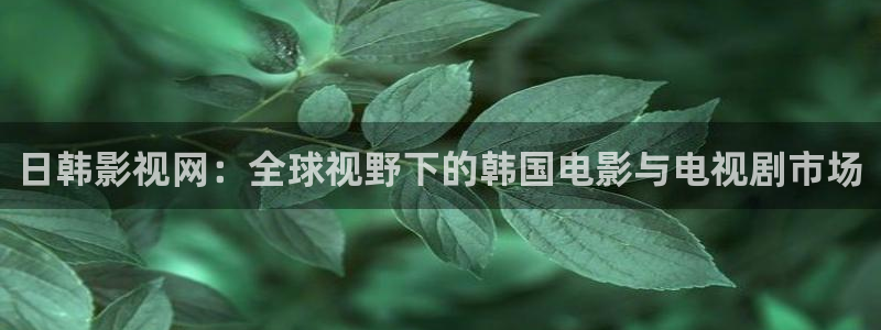 99视频精品免视看：日韩影视网：全球视野下的韩国电影与电视剧市场