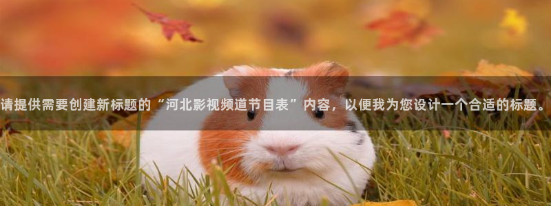 久久视频久久视频99视频：请提供需要创建新标题的“河北影视频道节目表”内容，以便我为您设计一个合适的标题。