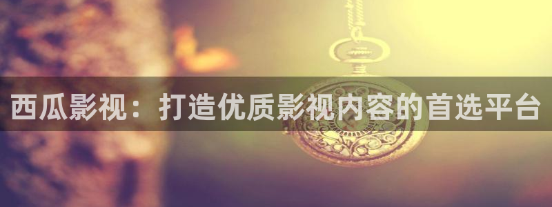 99视频精品免费观看