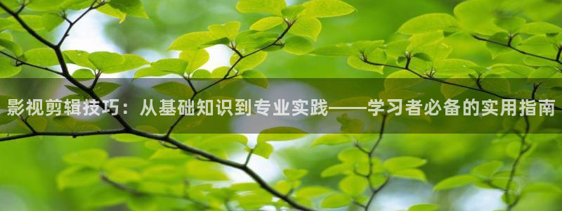 日本99视频在线观看：影视剪辑技巧：从基础知识到专业实践——学习者必备的实用指南