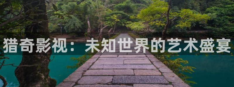 99视频聊天：猎奇影视：未知世界的艺术盛宴