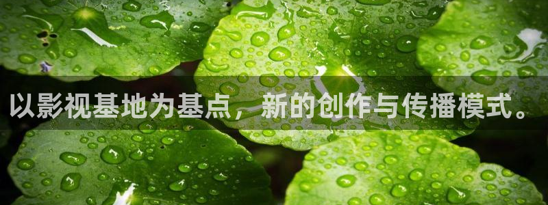 蜜桃99视频一区二区三区：以影视基地为基点，新的创作与传播模式。