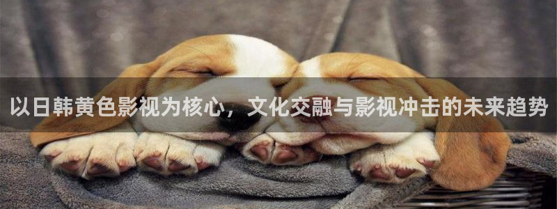 国产99视频在线：以日韩黄色影视为核心，文化交融与影视冲击的未来趋势