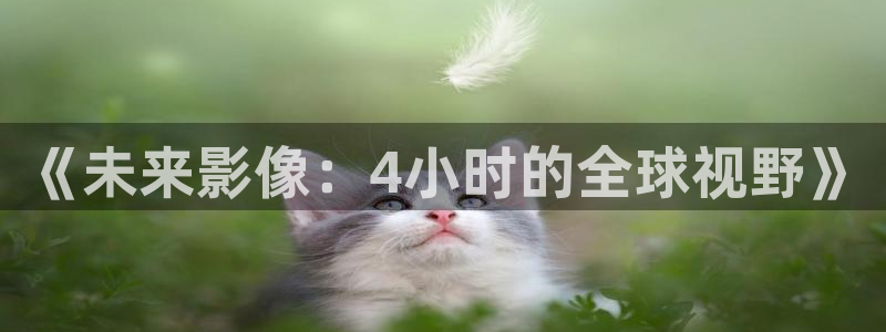 99视频官网