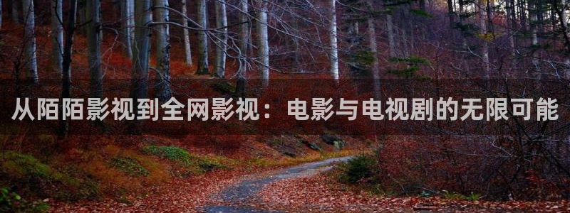 男人99视频：从陌陌影视到全网影视：电影与电视剧的无限可能