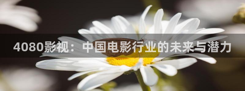 99视频国内99视频在线观看：4080影视：中国电影行业的未来与潜力