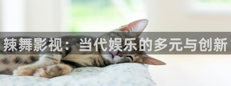 国产99视频：辣舞影视：当代娱乐的多元与创新