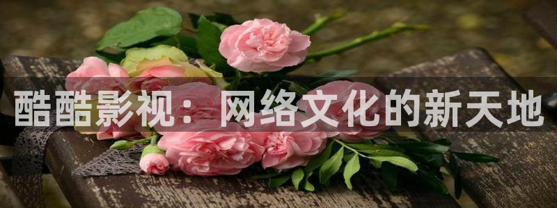 99视频精品10